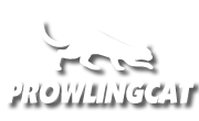 ProwlingCat